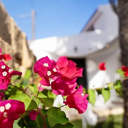 Little Paradise In El Médano