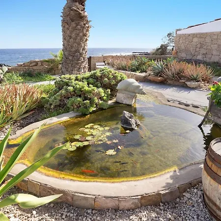 Little Paradise In El Médano